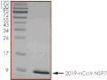 Product Element Image